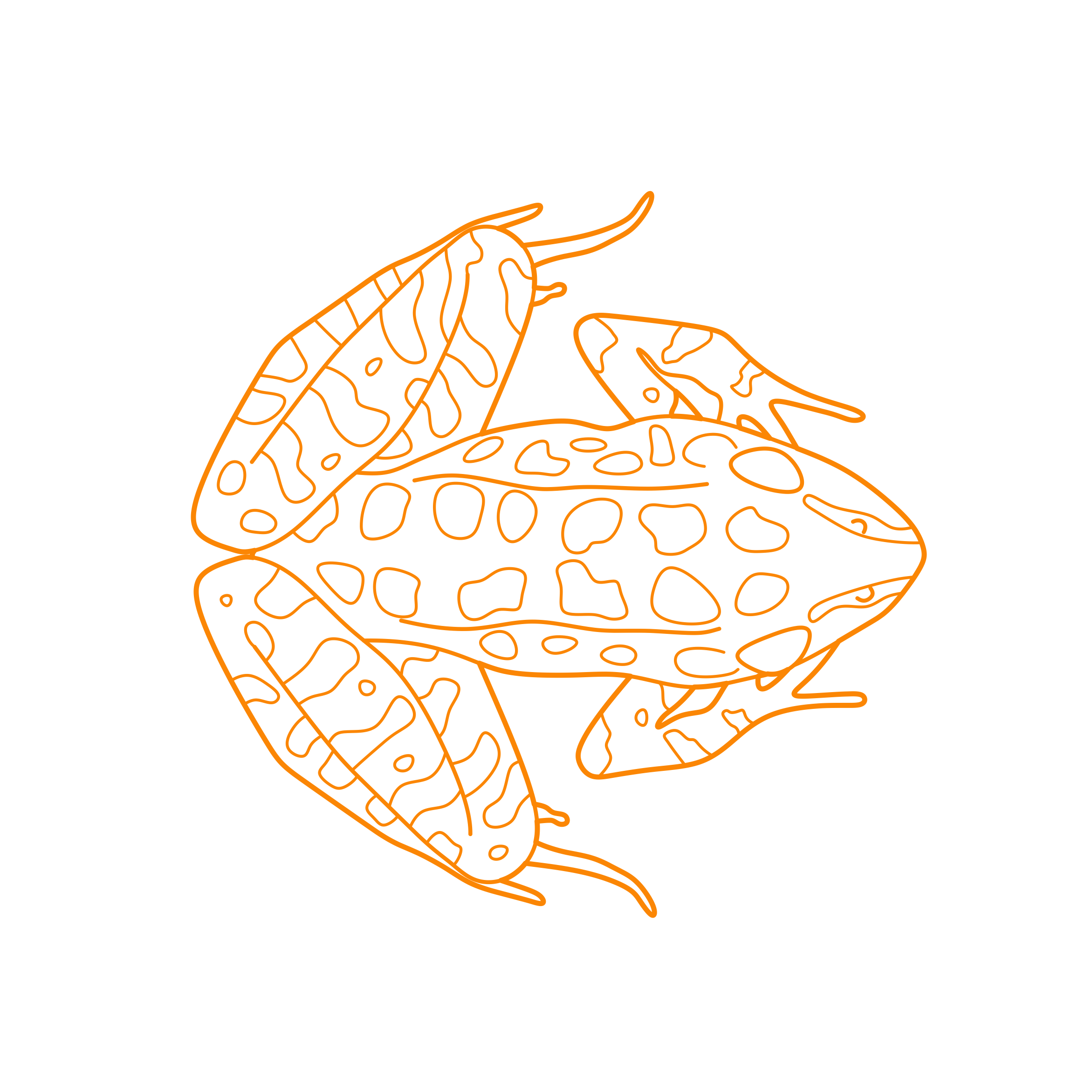 Animals Frogs Pickerel Frog Vinyl Svg File Free Vectors
